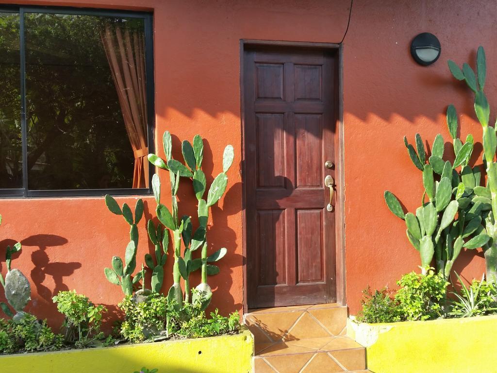 Hotel Cabinas Mar Y Cielo Montezuma Room photo